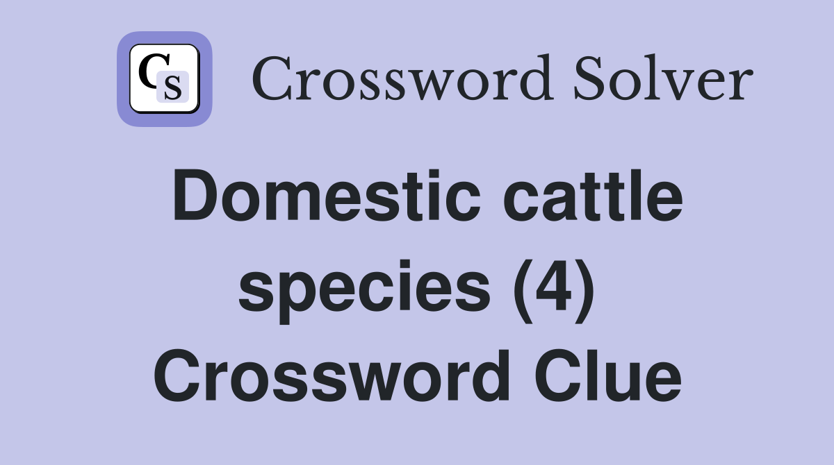 Domestic cattle species (4) Crossword Clue
