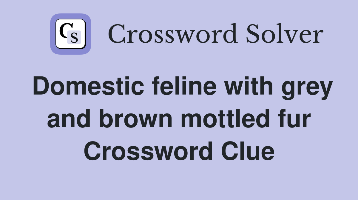 Domestic feline with grey and brown mottled fur Crossword Clue