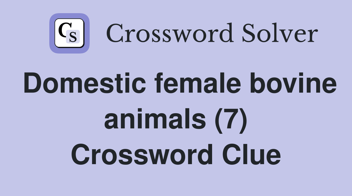 Domestic female bovine animals (7) Crossword Clue