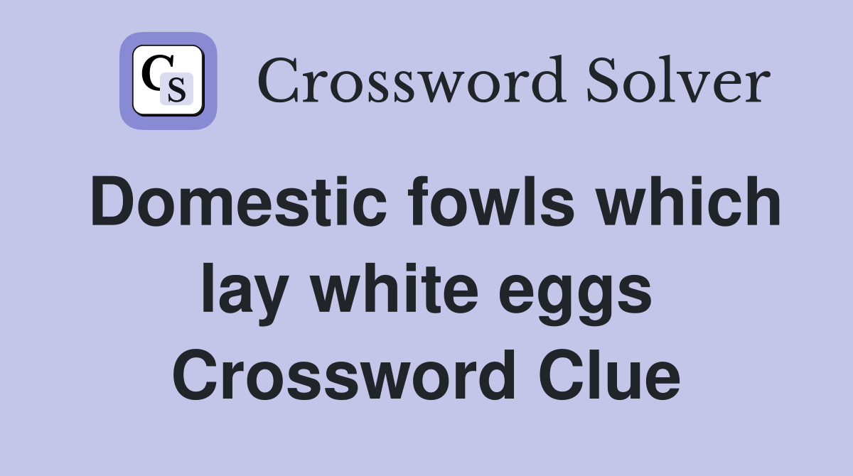 Domestic fowls which lay white eggs Crossword Clue