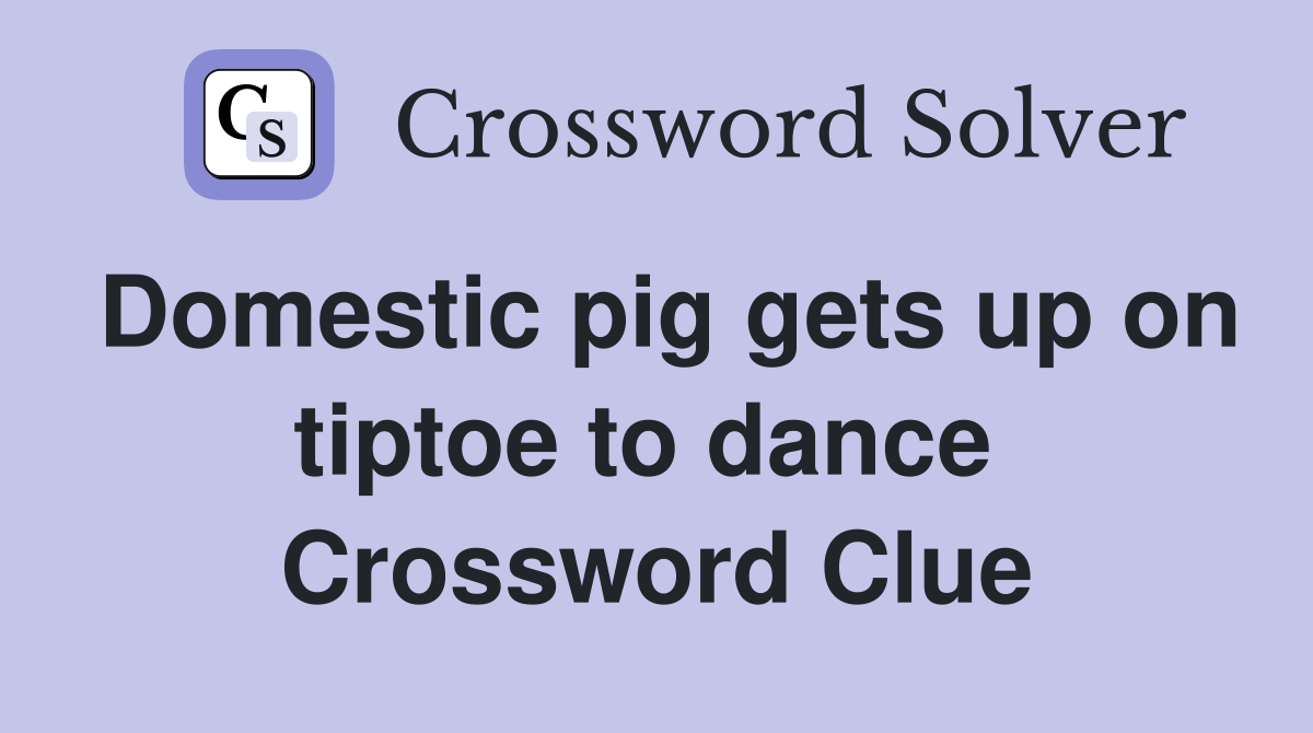 Domestic pig gets up on tiptoe to dance  Crossword Clue