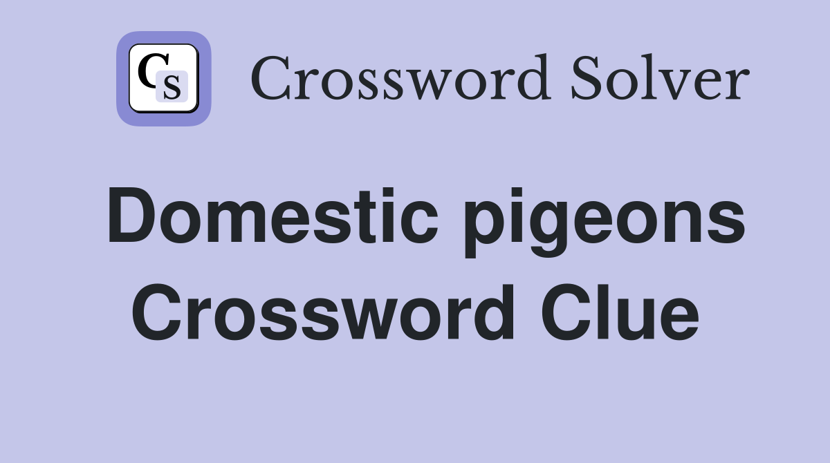 Domestic pigeons Crossword Clue