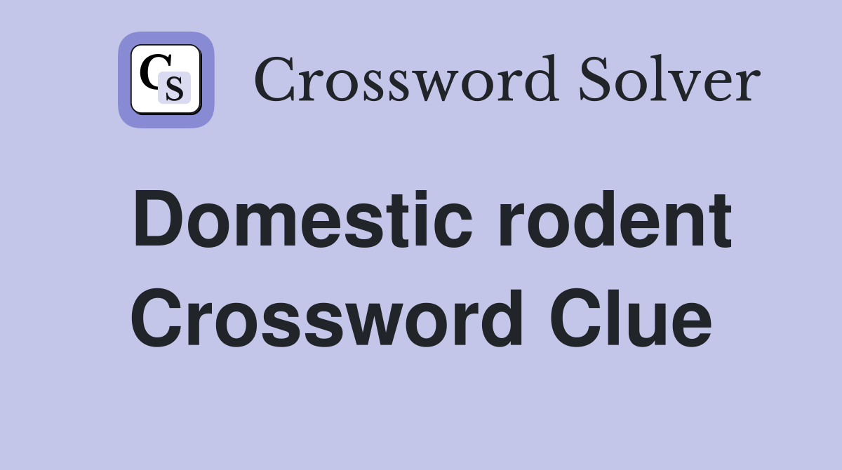 Domestic rodent Crossword Clue