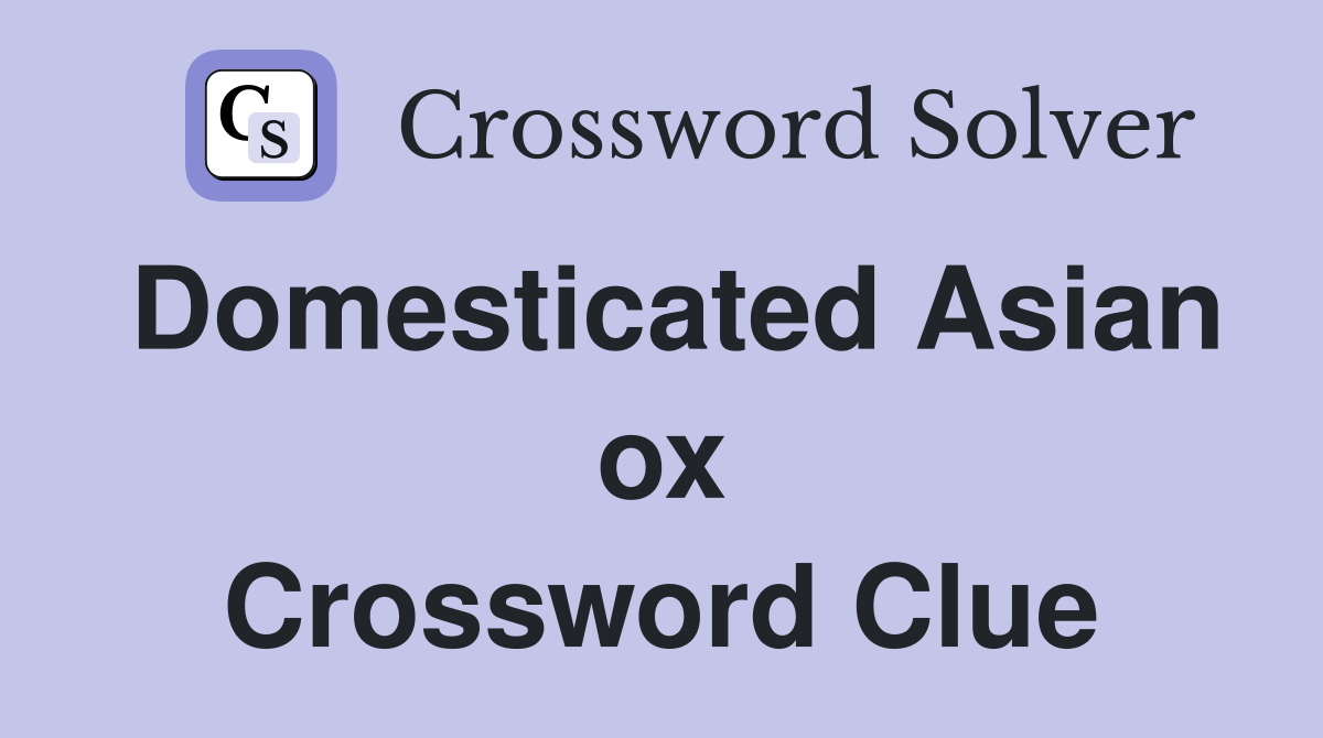 Domesticated Asian ox Crossword Clue