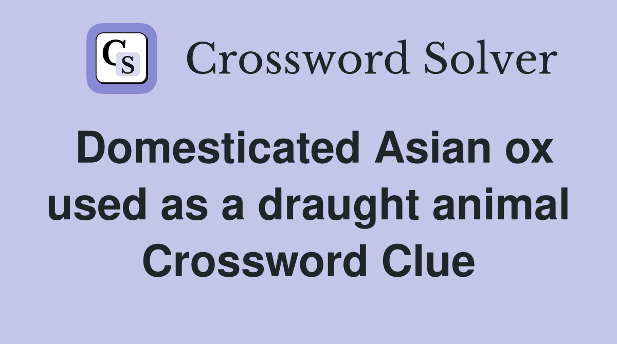 Domesticated Asian ox used as a draught animal Crossword Clue