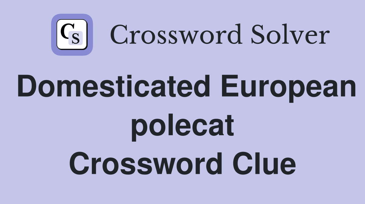 Domesticated European polecat Crossword Clue