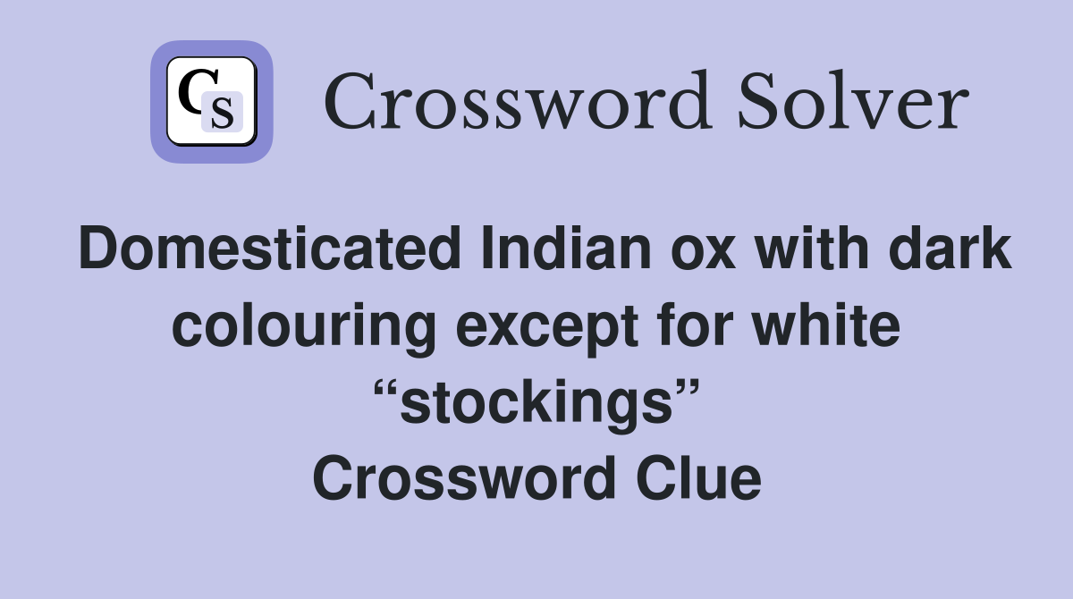 Domesticated Indian ox with dark colouring except for white “stockings” Crossword Clue