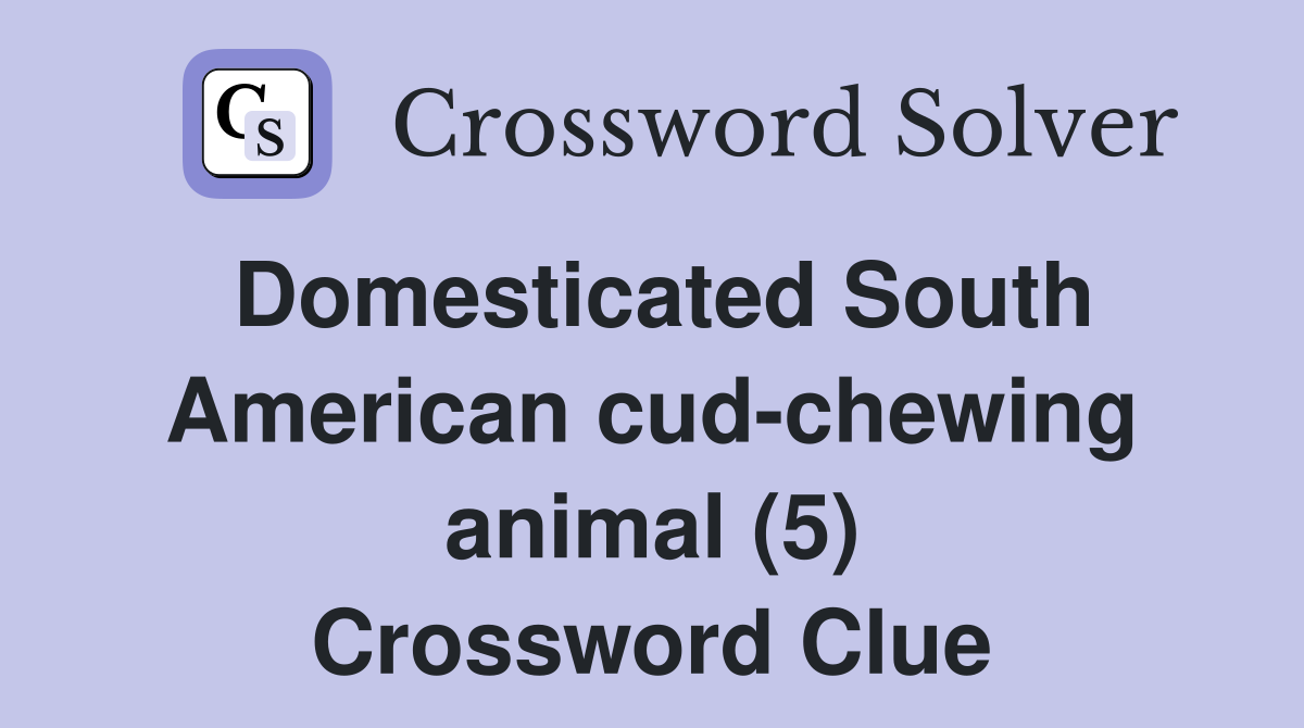Domesticated South American cud chewing animal (5) Crossword Clue
