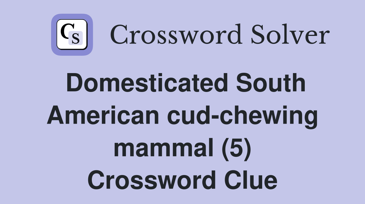 Domesticated South American cud-chewing mammal (5) Crossword Clue