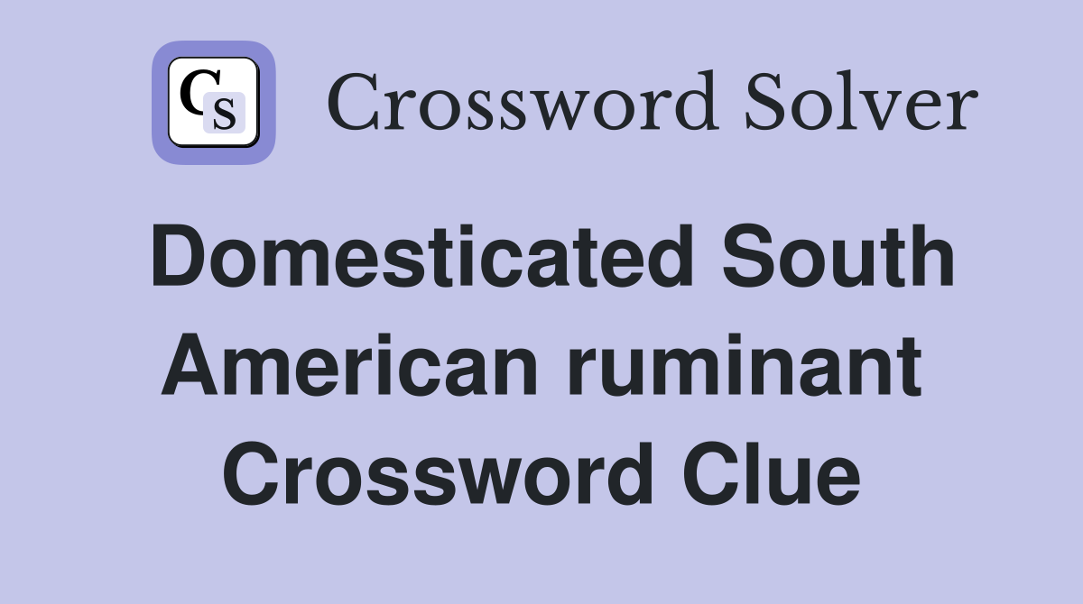 Domesticated South American ruminant Crossword Clue