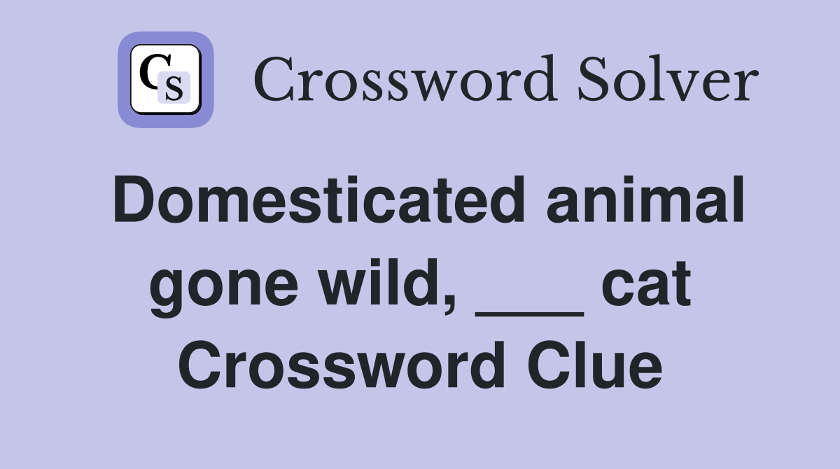 Domesticated animal gone wild, ___ cat Crossword Clue
