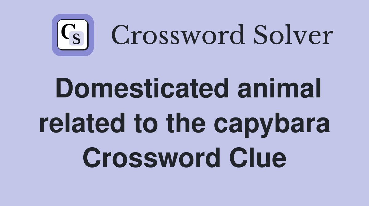 Domesticated animal related to the capybara Crossword Clue