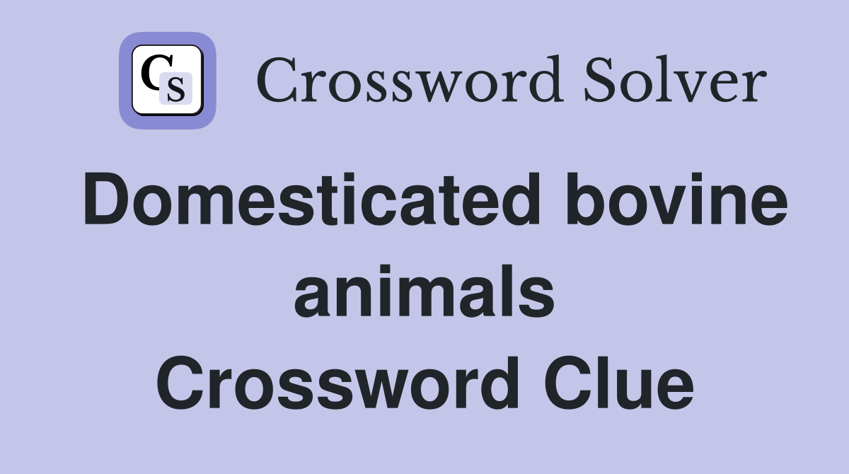 Domesticated bovine animals Crossword Clue