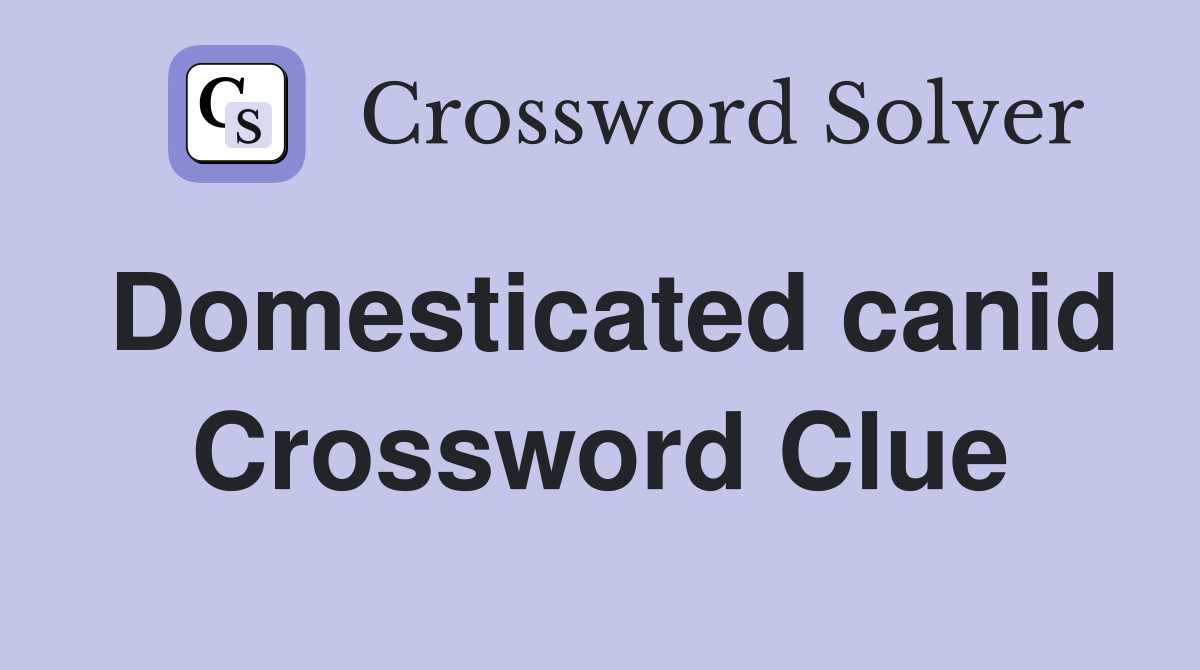 Domesticated canid Crossword Clue