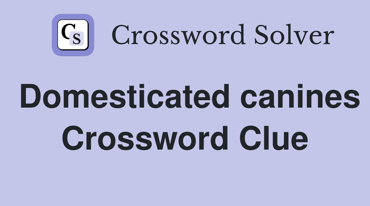 Domesticated canines Crossword Clue