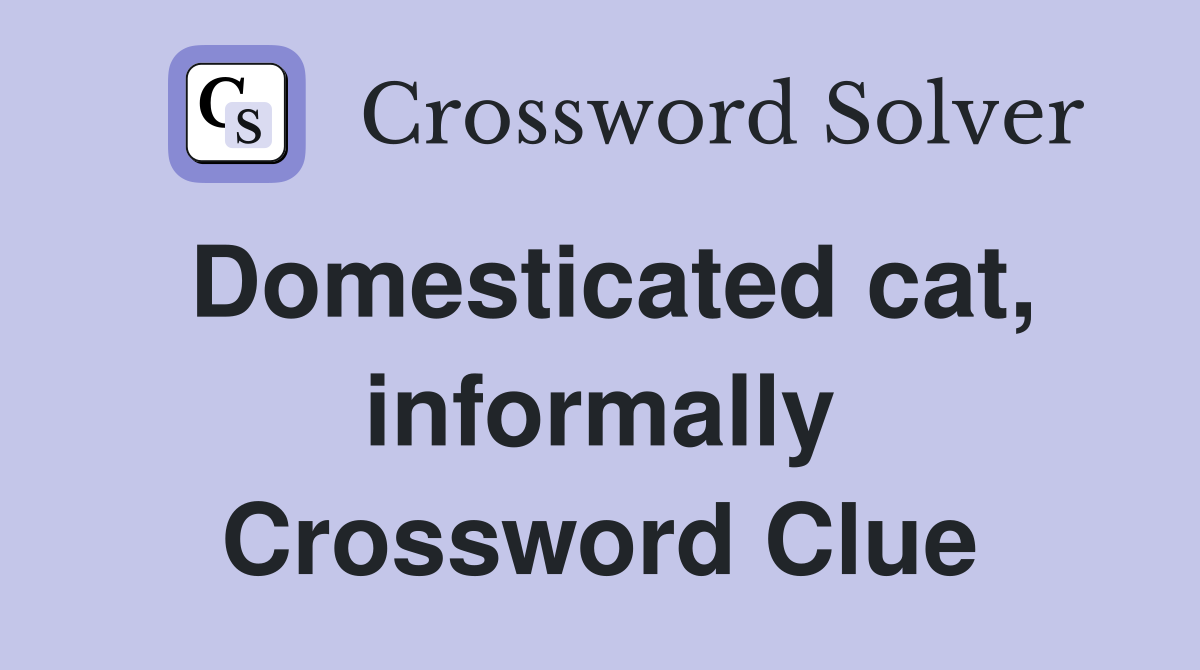 Domesticated cat, informally Crossword Clue