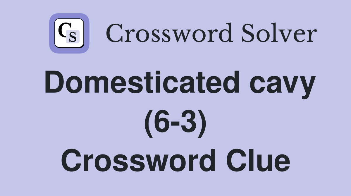 Domesticated cavy (6-3) Crossword Clue