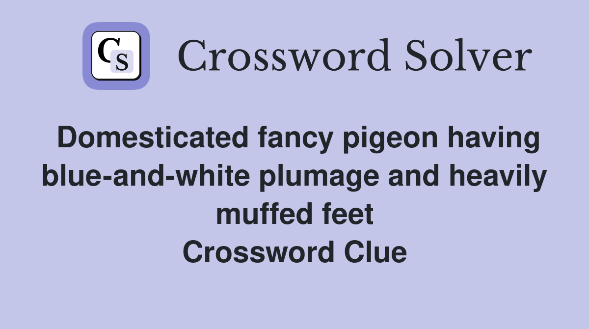 Domesticated fancy pigeon having blue-and-white plumage and heavily muffed feet Crossword Clue