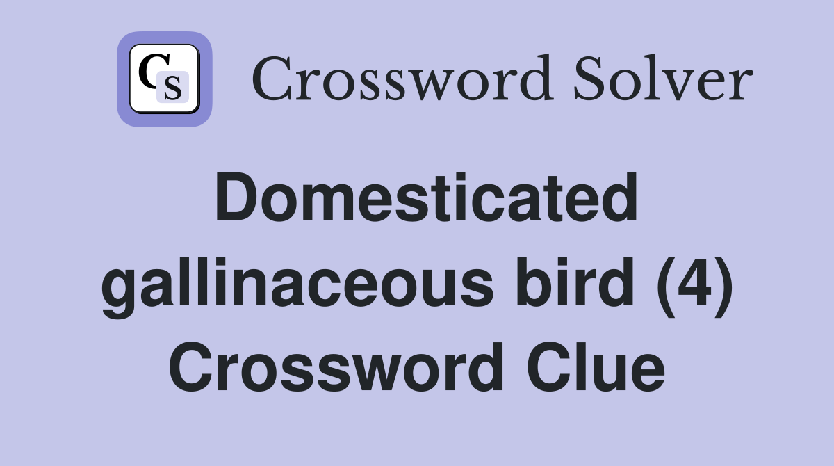 Domesticated gallinaceous bird (4) Crossword Clue