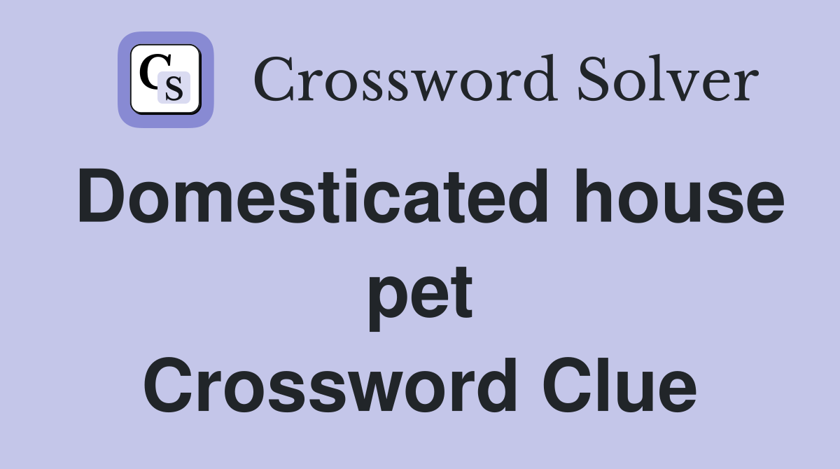 Domesticated house pet Crossword Clue
