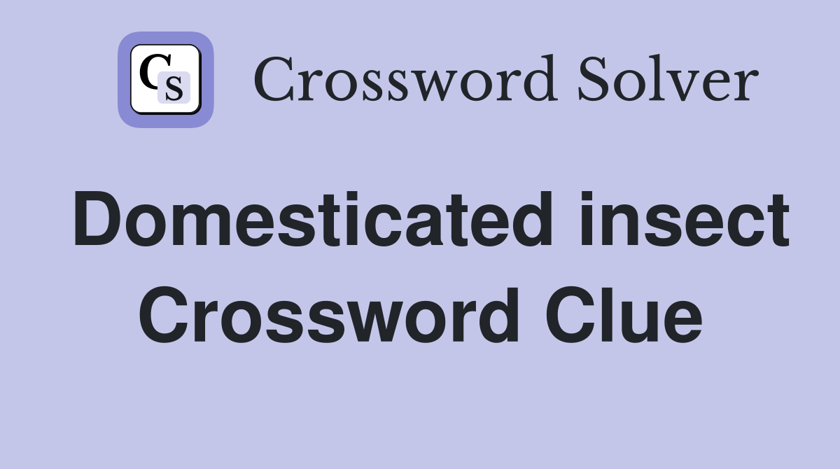 Domesticated insect Crossword Clue