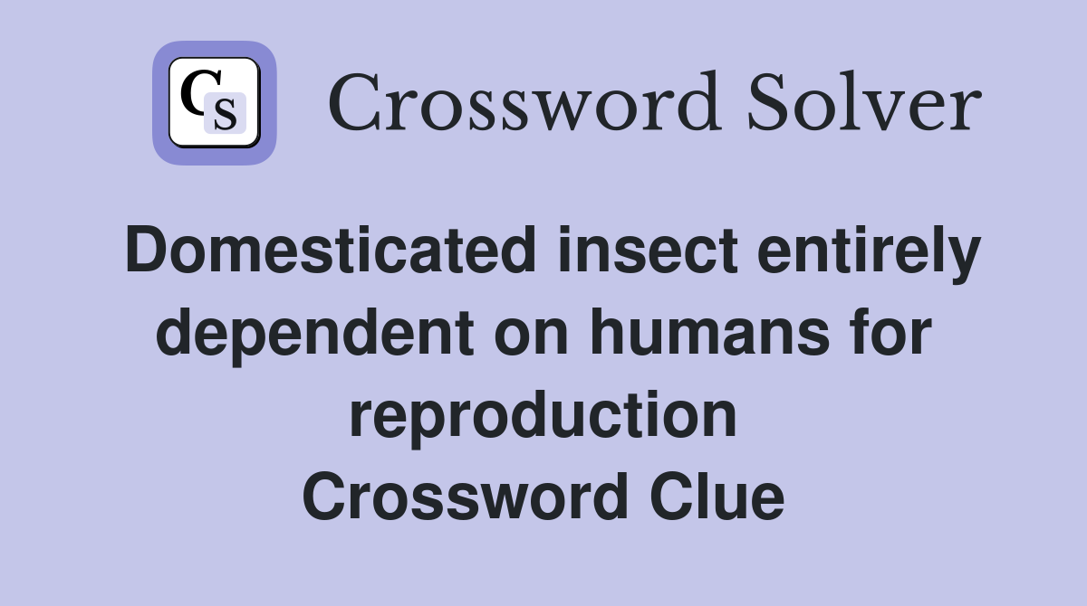 Domesticated insect entirely dependent on humans for reproduction Crossword Clue
