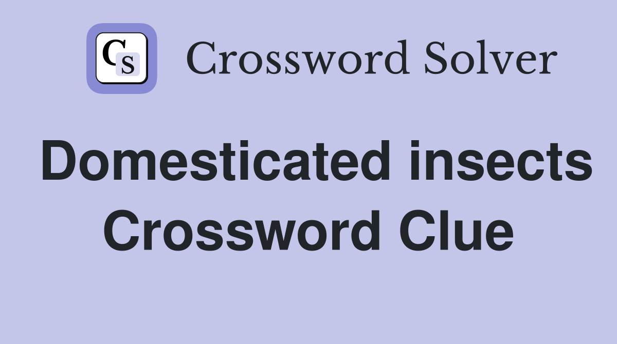 Domesticated insects Crossword Clue