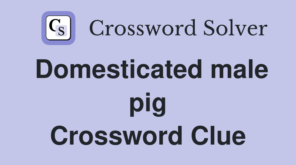 Domesticated male pig Crossword Clue