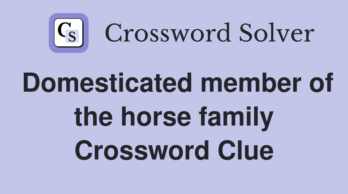 Domesticated member of the horse family Crossword Clue
