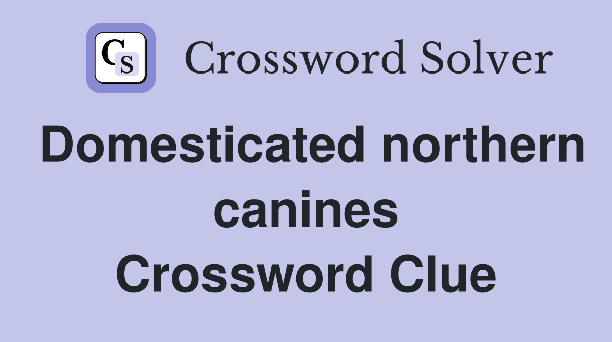 Domesticated northern canines Crossword Clue