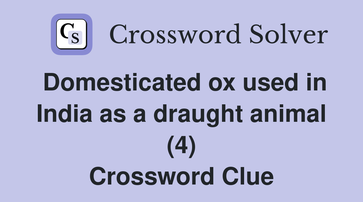 Domesticated ox used in India as a draught animal (4) Crossword Clue