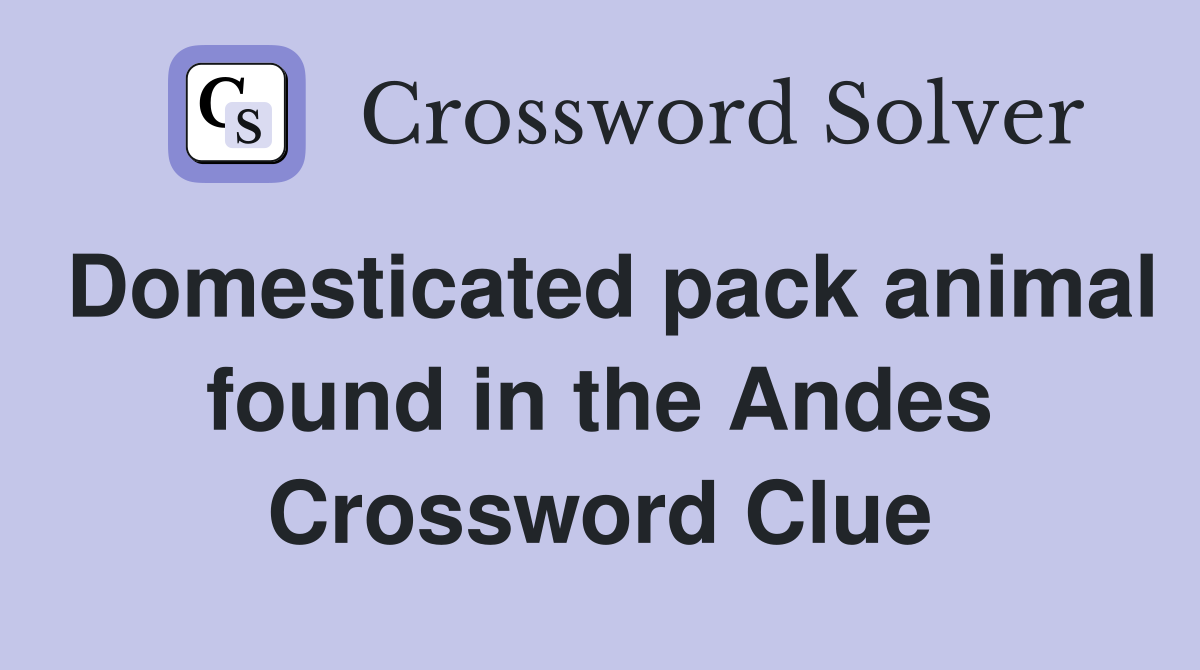 Domesticated pack animal found in the Andes Crossword Clue