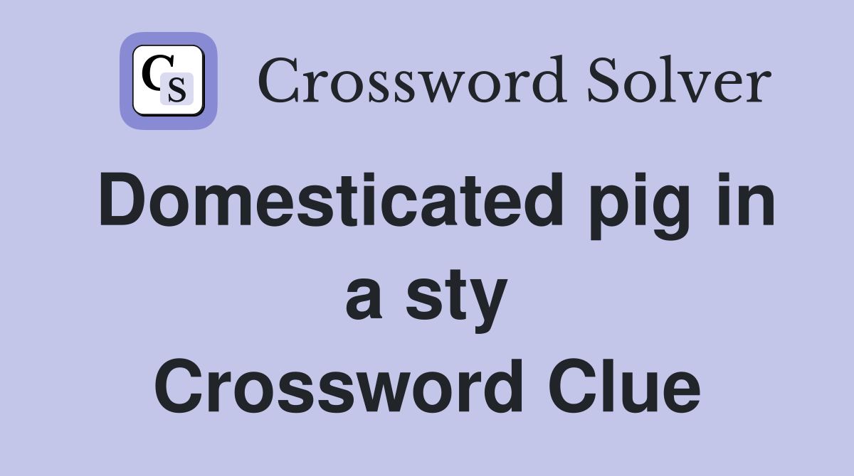 Domesticated pig in a sty Crossword Clue