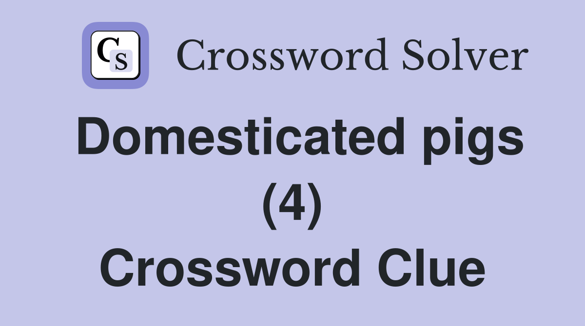Domesticated pigs (4) Crossword Clue