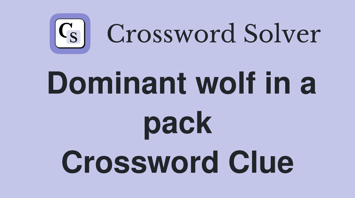 Dominant wolf in a pack Crossword Clue