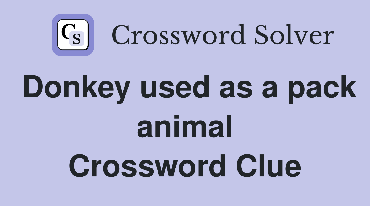 Donkey used as a pack animal Crossword Clue
