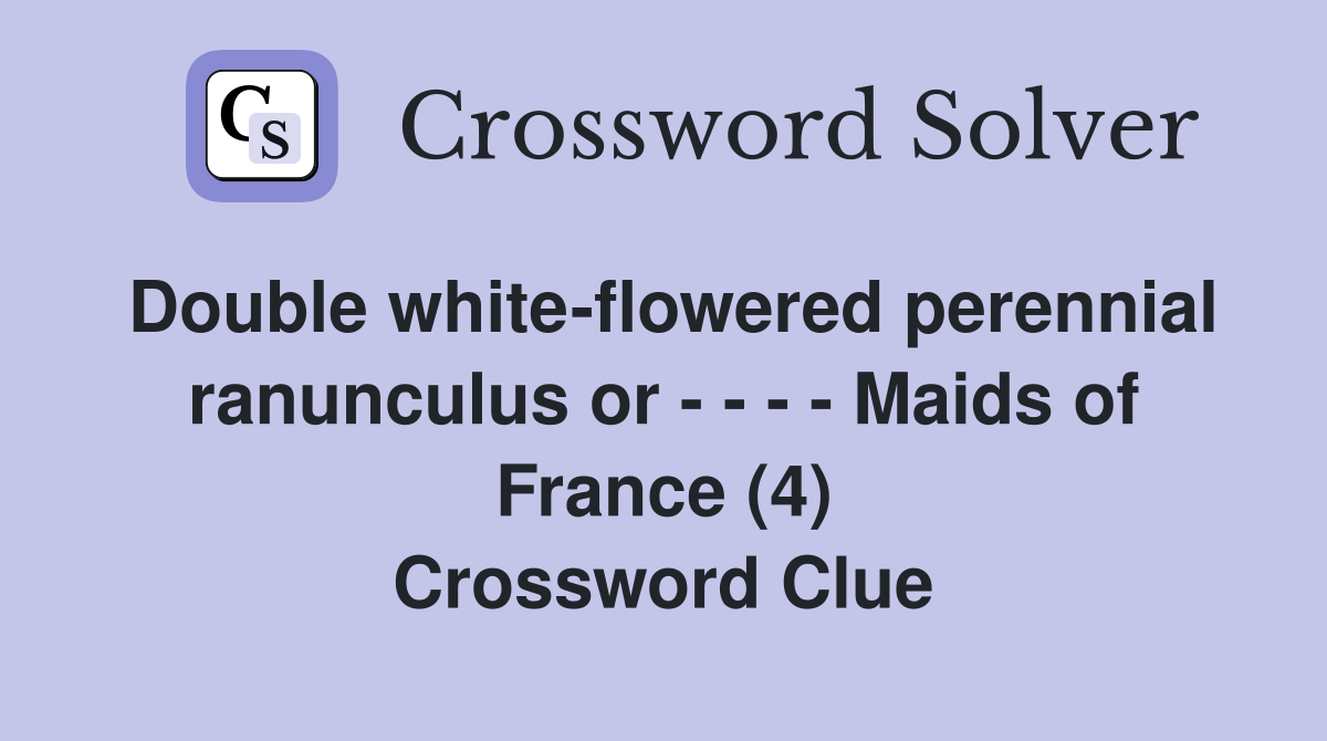 Double white-flowered perennial ranunculus or - - - - Maids of France (4) Crossword Clue