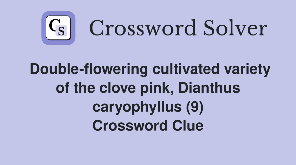 Double-flowering cultivated variety of the clove pink, Dianthus caryophyllus (9) Crossword Clue