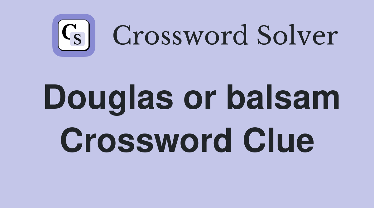 Douglas or balsam Crossword Clue
