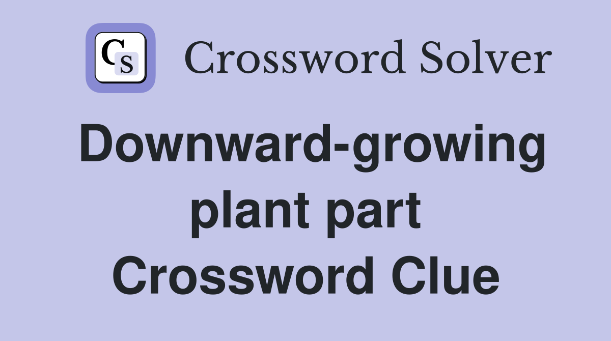 Downward-growing plant part Crossword Clue