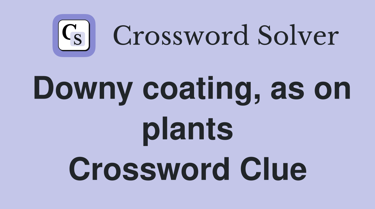 Downy coating, as on plants Crossword Clue