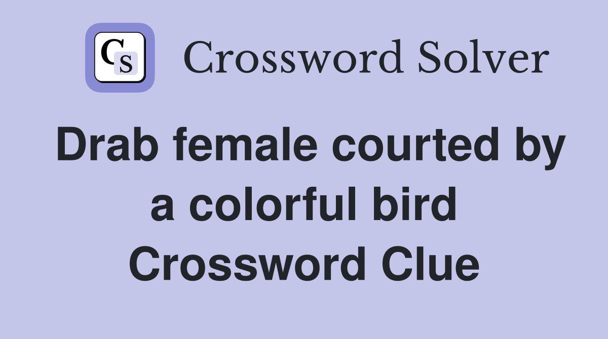 Drab female courted by a colorful bird Crossword Clue