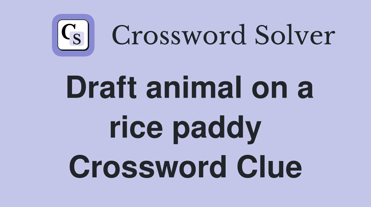 Draft animal on a rice paddy Crossword Clue