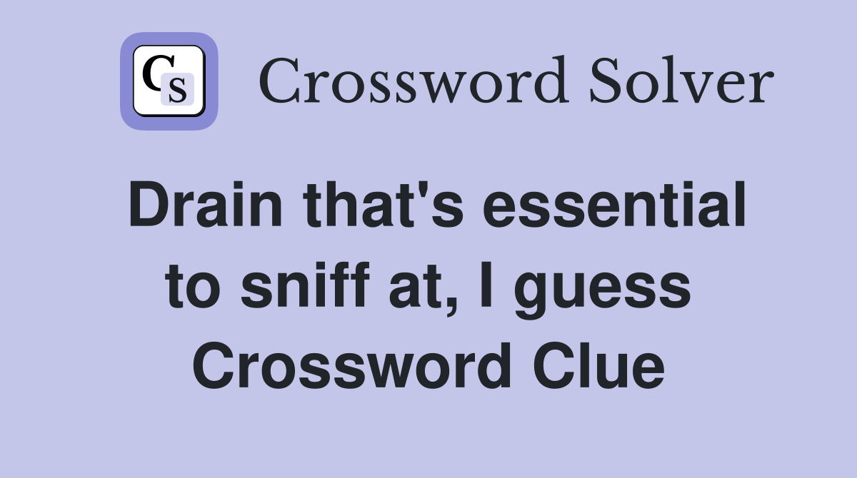 Drain that's essential to sniff at, I guess Crossword Clue