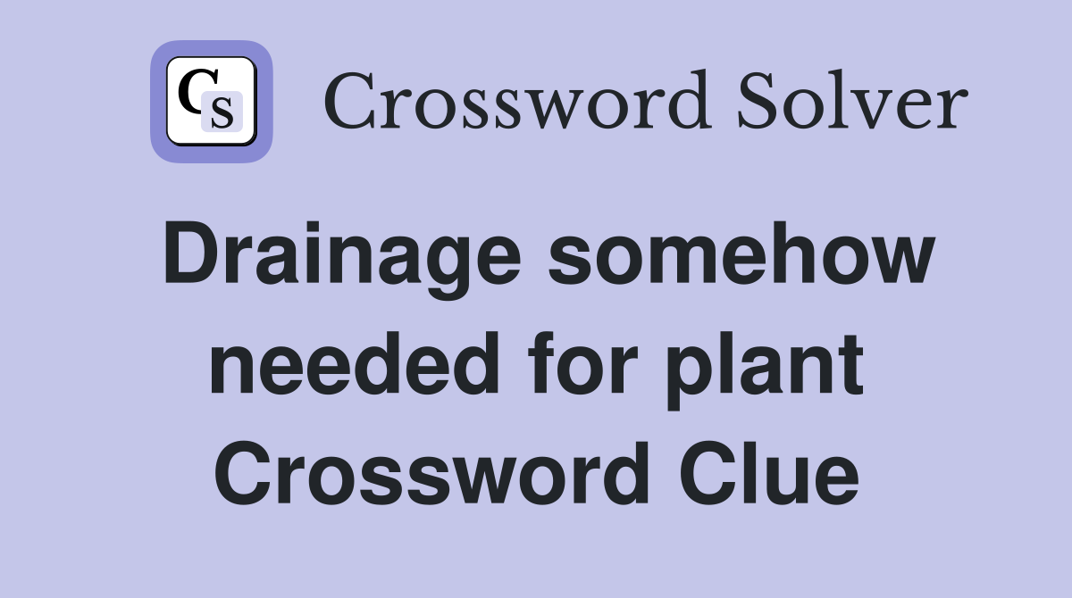 Drainage somehow needed for plant Crossword Clue