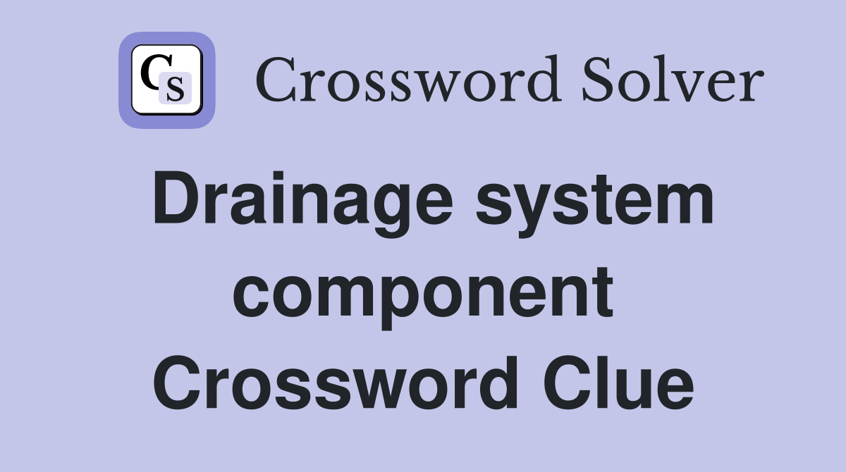 Drainage system component Crossword Clue