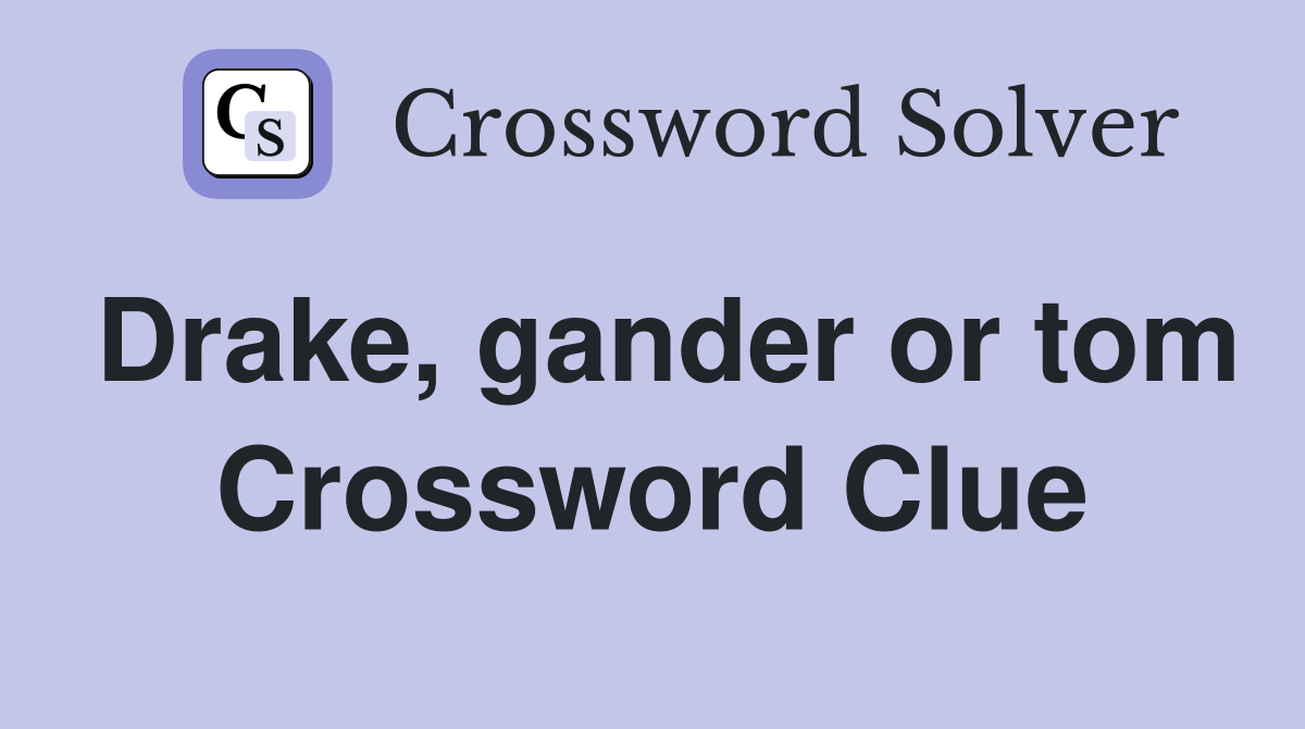 Drake, gander or tom Crossword Clue