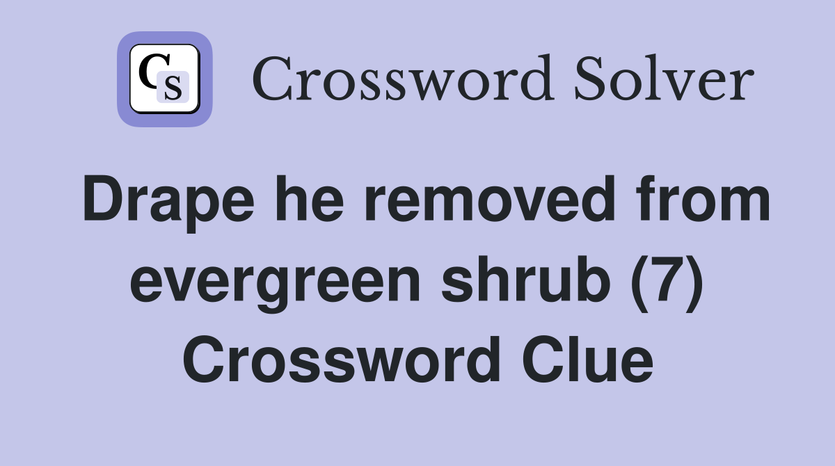 Drape he removed from evergreen shrub (7) Crossword Clue