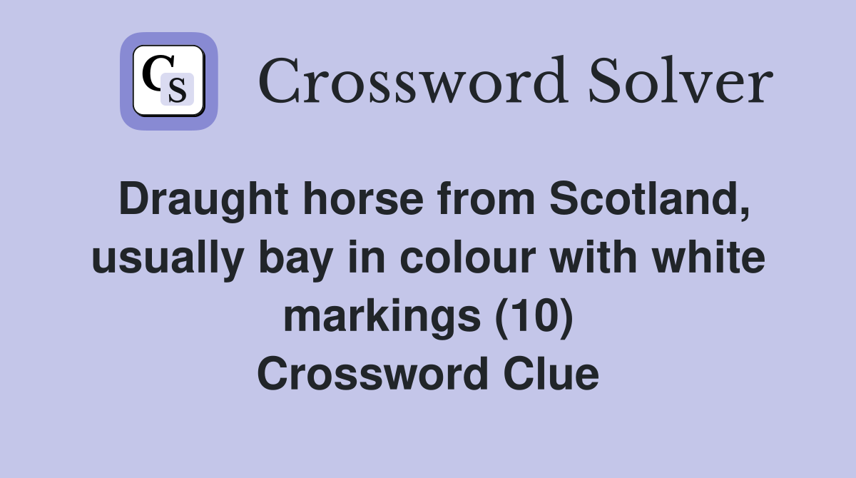 Draught horse from Scotland, usually bay in colour with white markings (10) Crossword Clue