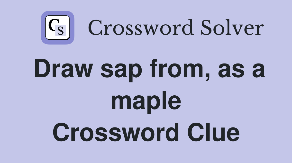 Draw sap from, as a maple Crossword Clue
